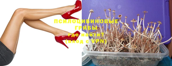 дживик Горнозаводск
