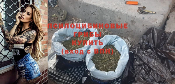 дживик Горнозаводск