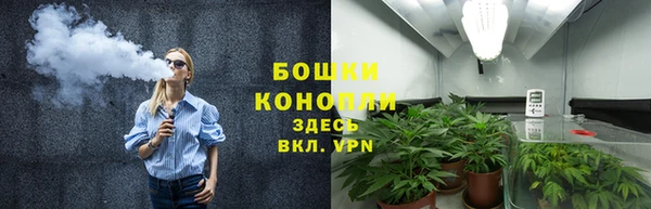дживик Горнозаводск
